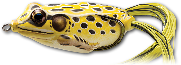 501 Yellow / Black - Koppers Live Target Frog Hollow Body 2.66-inch (750x281), Png Download