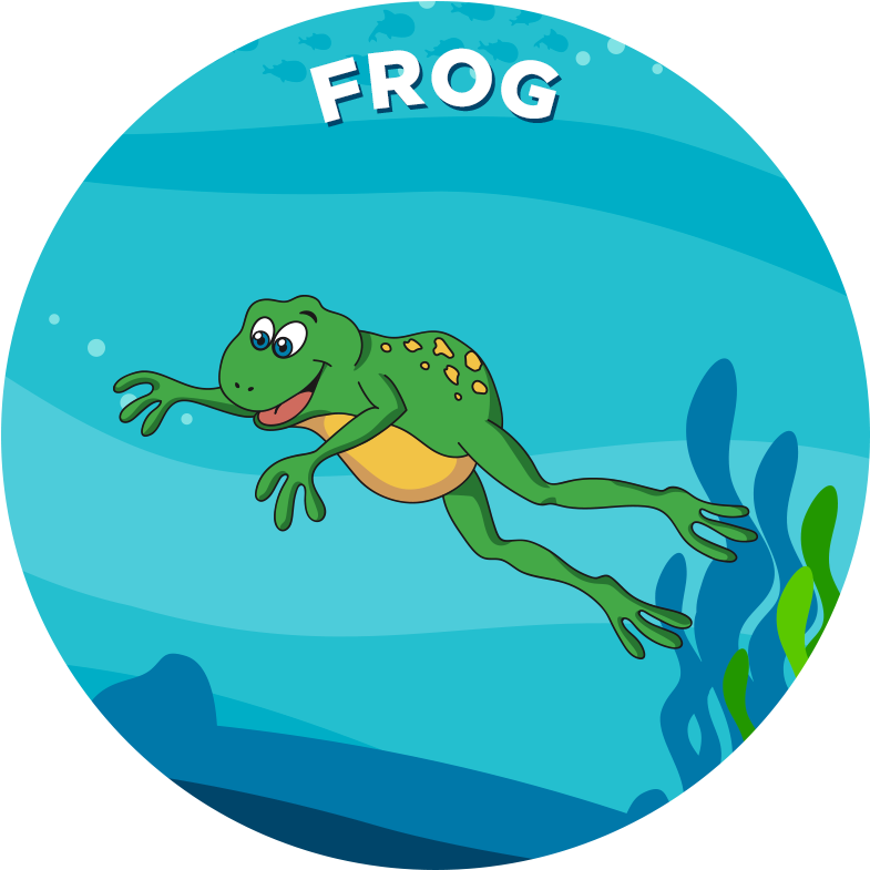 Cartoon (800x800), Png Download