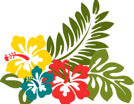 Download Dibujo De Flor Hawaiana PNG Image with No Background 