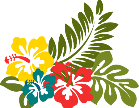 Download Dibujo De Flor Hawaiana Png Image With No Background Pngkey Com