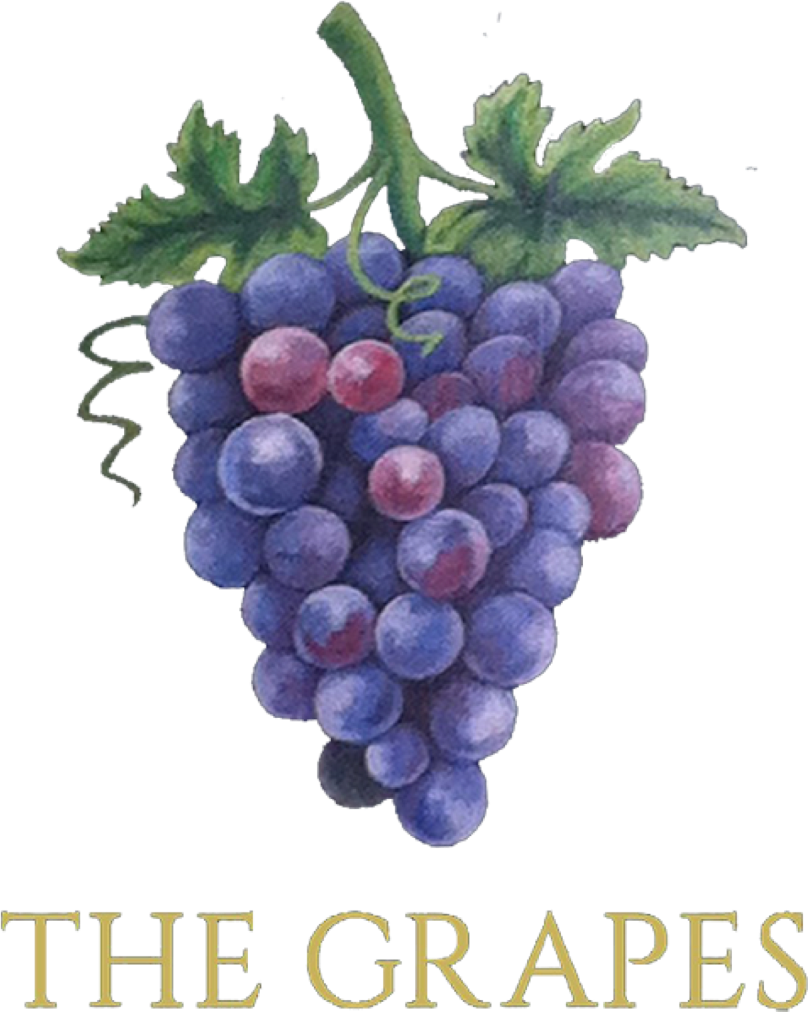 Grapes (1451x1451), Png Download