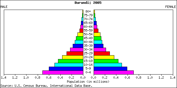 Burundi Population Pyramid 2005 - Poor Country Population Pyramid (601x301), Png Download