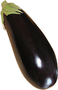 Eggplant, Aubergine Grow Guide Logo - Eggplant (500x500), Png Download