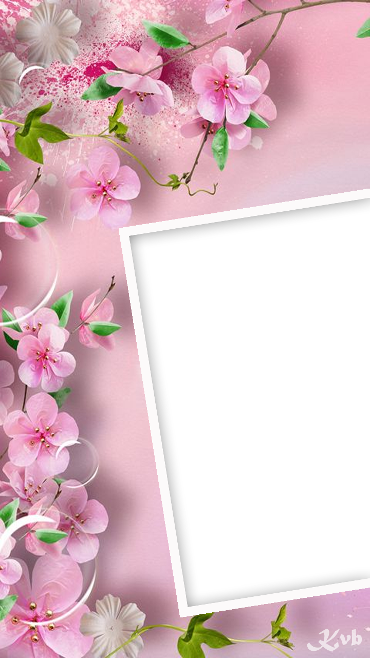 Download Pink Flower Frame - Android Flower Wallpaper Hd PNG Image with No  Background 