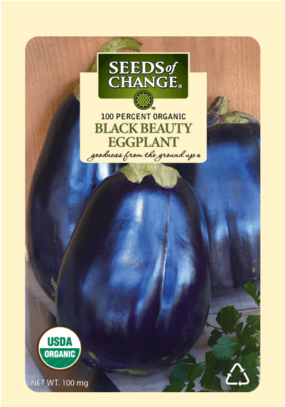 Organic Imperial Black Beauty Eggplant Seeds - Seeds Of Change S11018 Certified Organic Imperial Black (573x573), Png Download