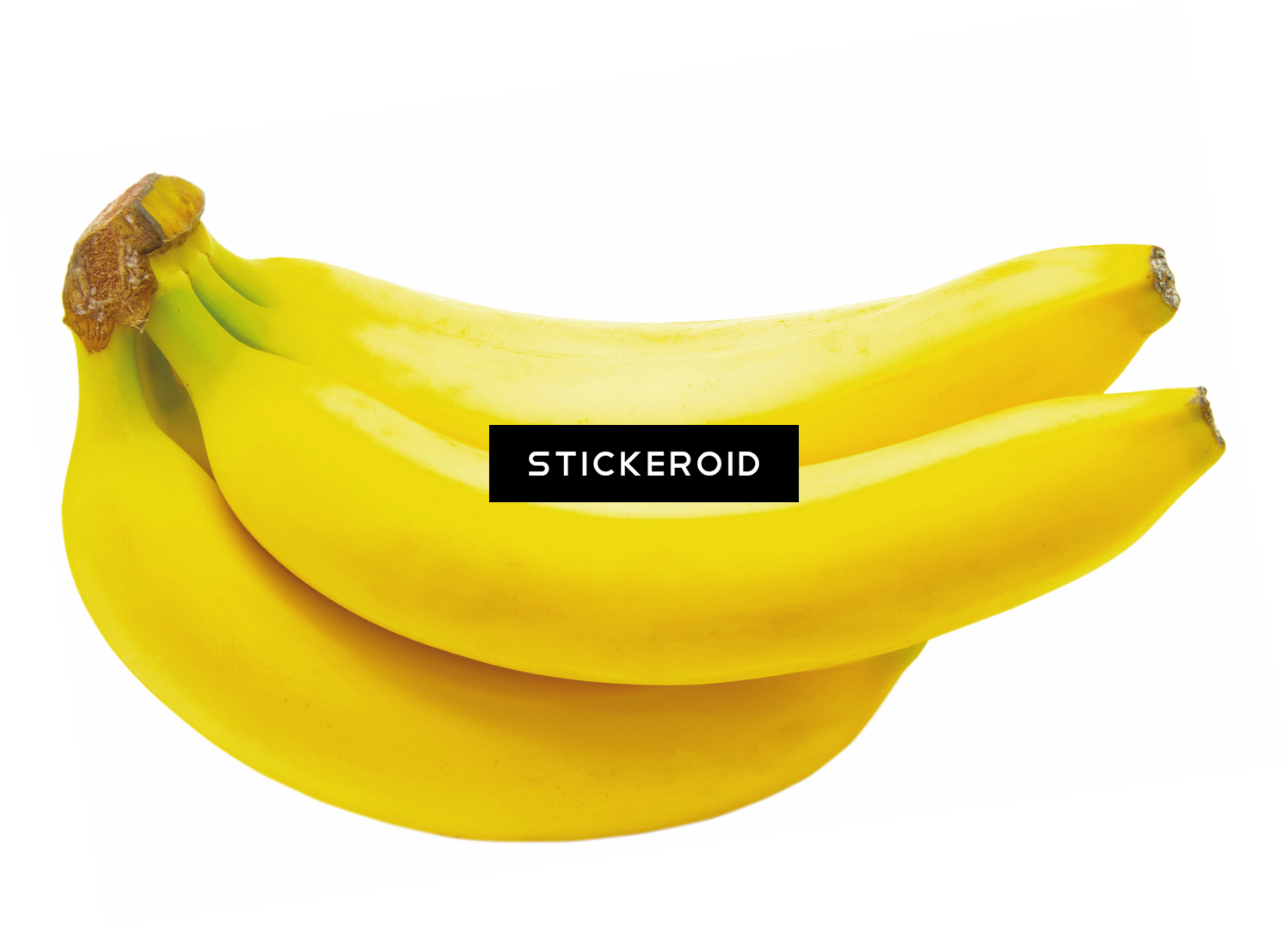 Banana Bananas - Saba Banana (1498x1079), Png Download