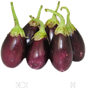 Eggplant (498x498), Png Download