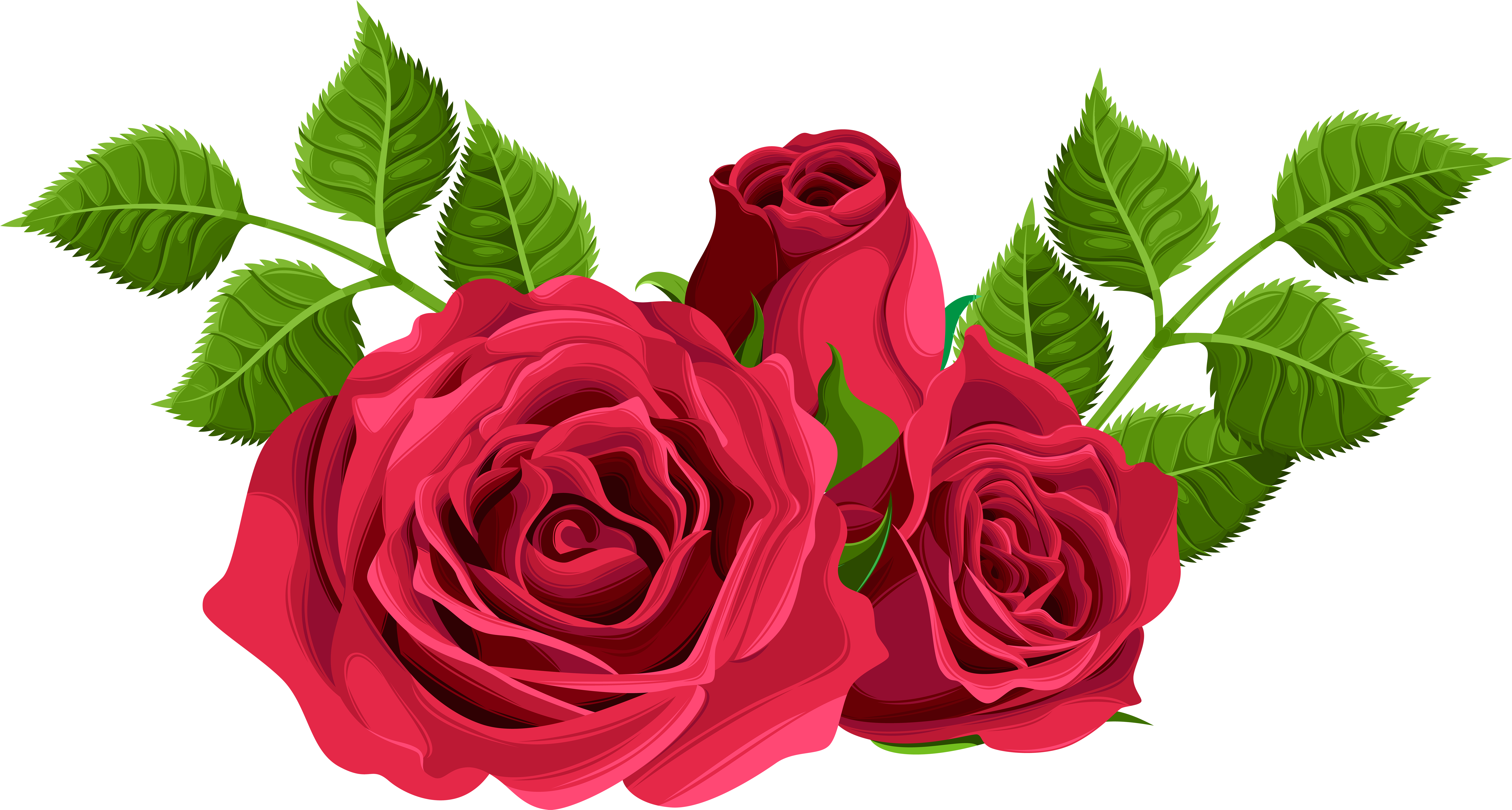 Rosas Decorativas (8000x4325), Png Download
