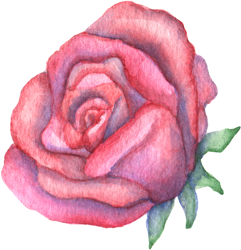 Hand Drawn A Big Red Rose Watercolor Transparent - Portable Network Graphics (1024x1059), Png Download