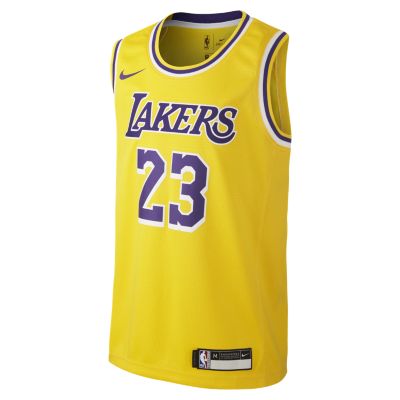 Lebron James Los Angeles Lakers Nike Icon Edition Swingman - Lebron James Laker T Shirts (400x400), Png Download