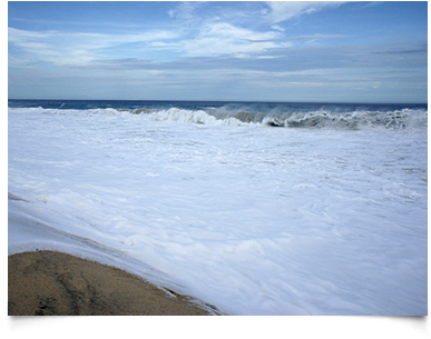 Foam From The Ocean Waves Looked Like A Blanket Of - Sea (425x334), Png Download