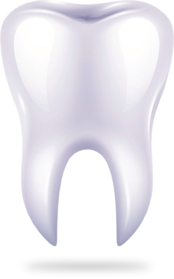 Tooth (360x576), Png Download