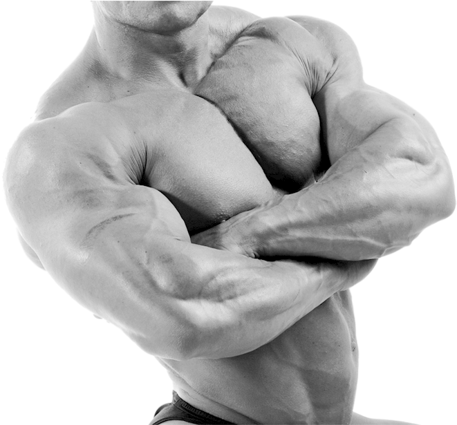 Muscle Building - Black Muscle Man Png (690x614), Png Download