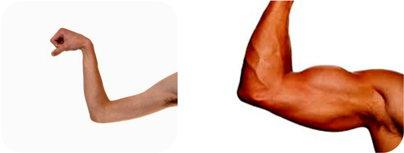 Weak Muscles Vs Strong Muscles (1600x800), Png Download