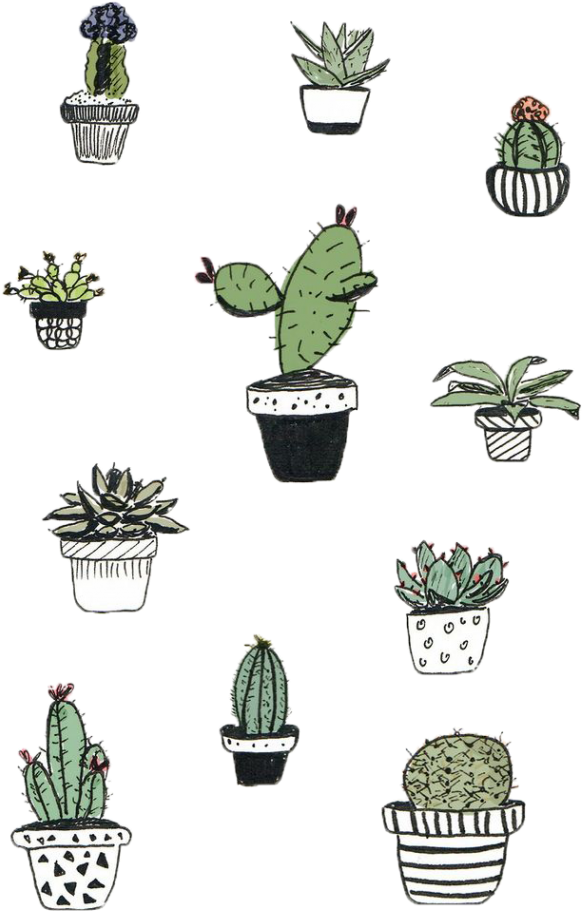 Cactaceae Cactus And Succulent Plant Others - Notebook: Journal Dot-grid, Graph, Lined, Blank No (700x1018), Png Download