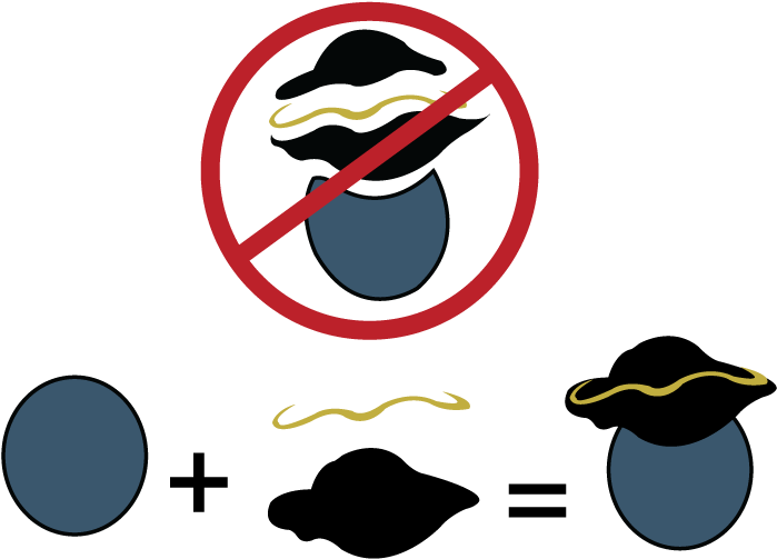 How To Vectorize The Pirate In Illustrator (792x612), Png Download