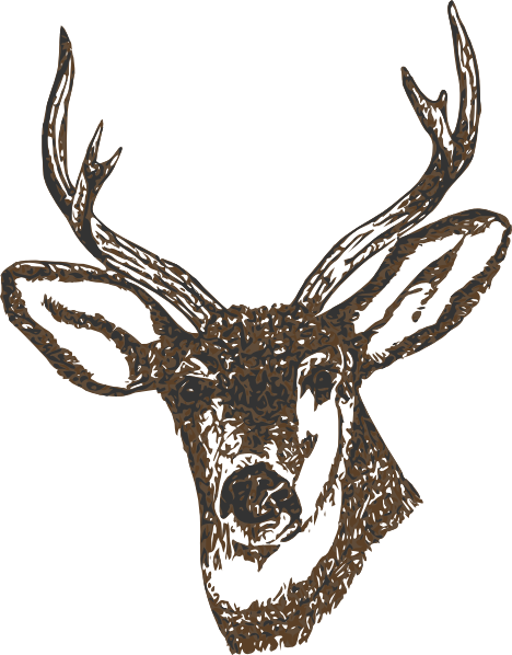 Reindeer Svg File - Free Deer (468x598), Png Download