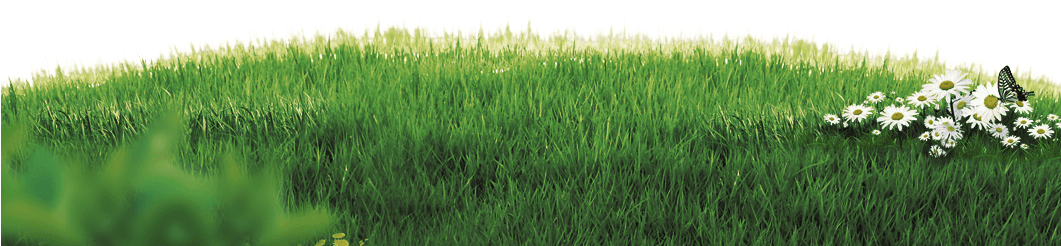 Motion Grass - Grass Vintage Png (1060x280), Png Download
