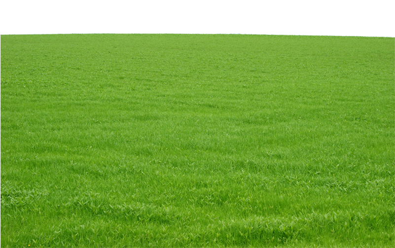 Details 300 green grass background png - Abzlocal.mx