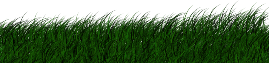 Grass Png Vector - Portable Network Graphics (900x900), Png Download