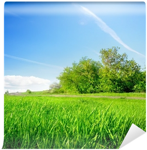 Photograph (400x400), Png Download