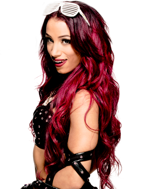 Sasha Banks 2015 Nxt Render By Ambriegnsasylum16 - Sasha Banks And Seth Rollins Love Story (500x650), Png Download