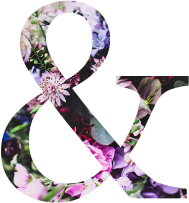 Ampersand, Transparent, And Om&m Image - 90s Black Tattoo Choker Necklace (500x421), Png Download