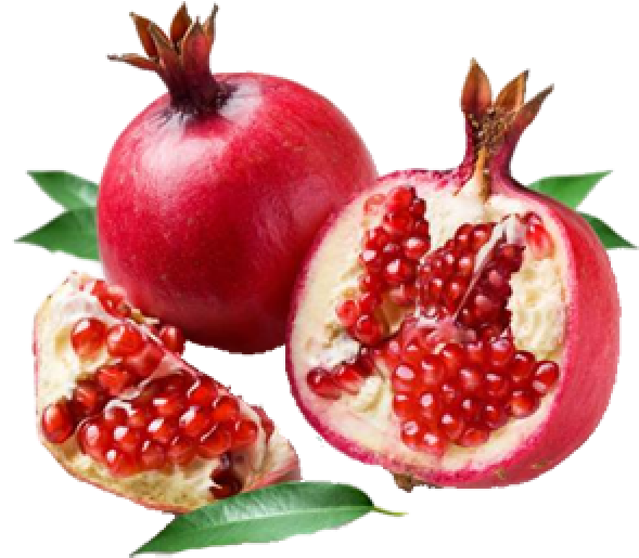 Pomegranate Png Free Download - Ganesh Variety Of Pomegranate (600x564), Png Download