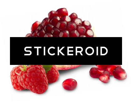 Pomegranate - Pomegranate & Raspberries Vertical Stripes Wristlet (424x330), Png Download