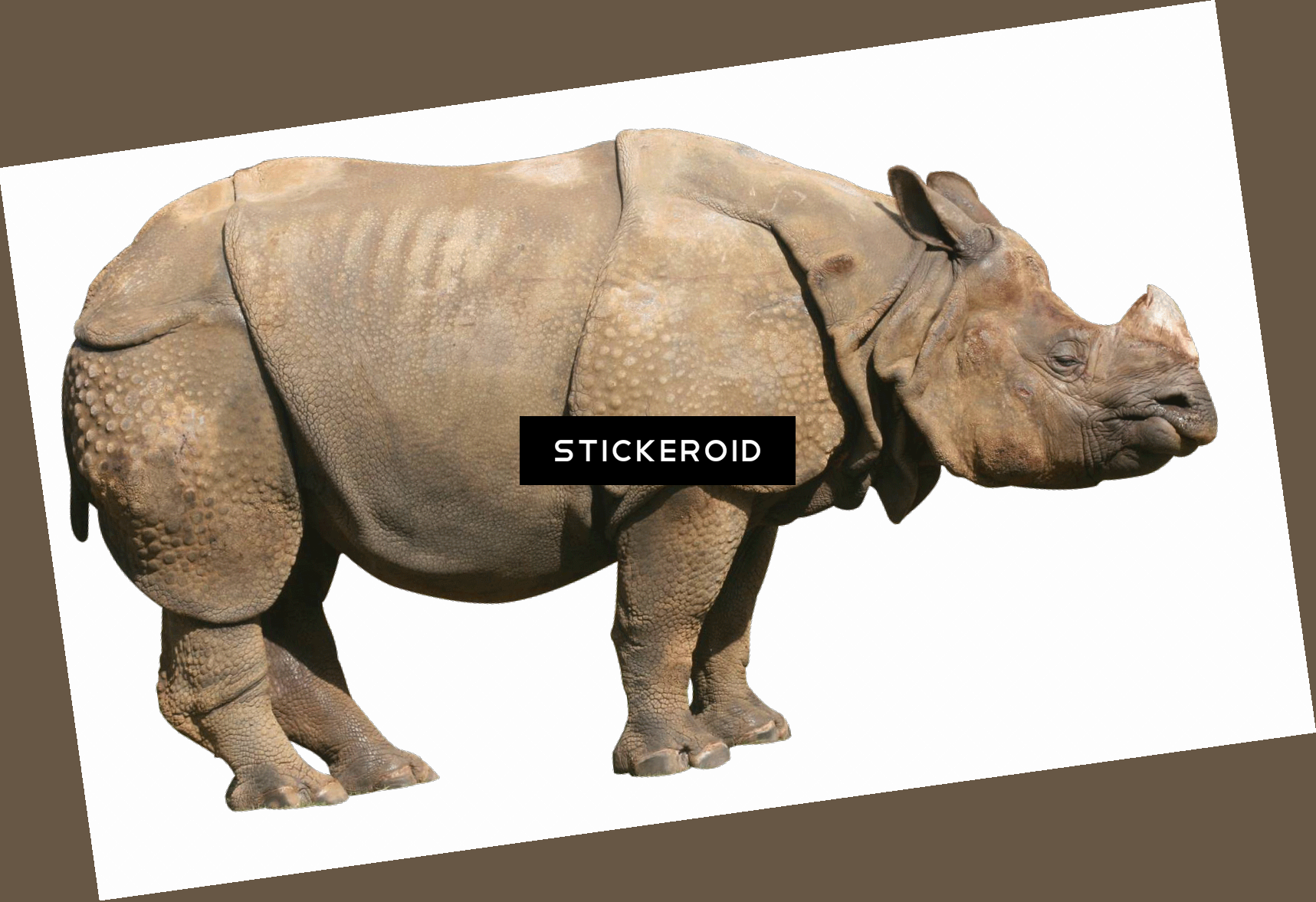 Rhino - Great Indian Rhinoceros (1717x1177), Png Download