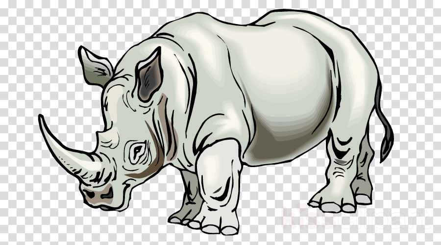 Clip Art Rhino Clipart Rhinoceros Clip Art - Unicorn (900x500), Png Download
