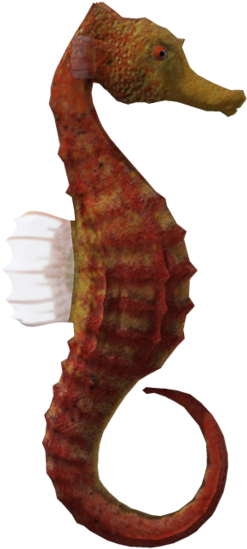 Seahorse Png Download - Portable Network Graphics (1024x639), Png Download