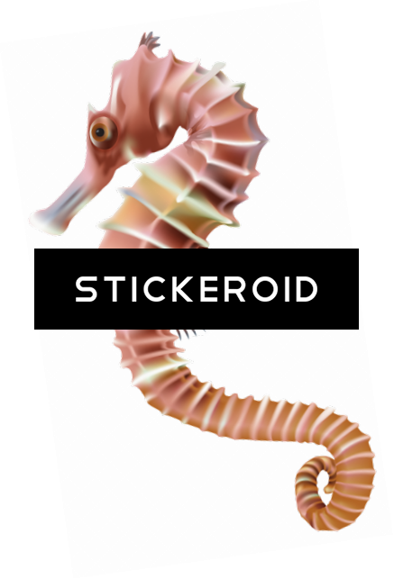 Seahorse Animals - Clip Art (437x643), Png Download