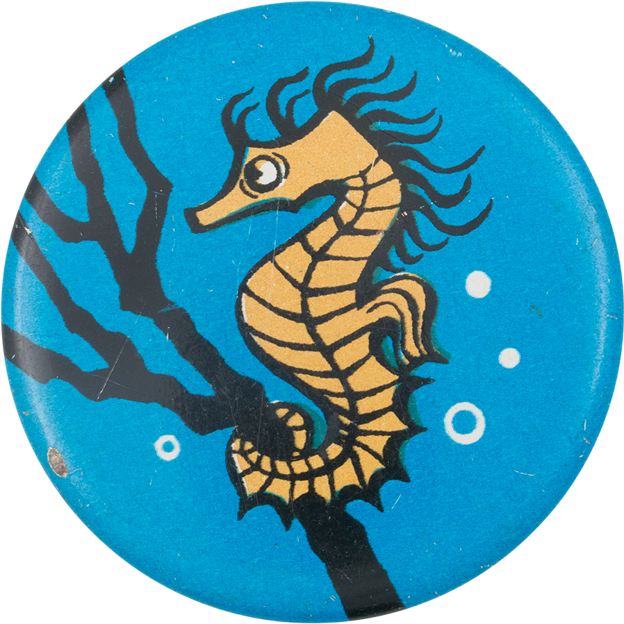 Seahorse - Circle (1000x987), Png Download