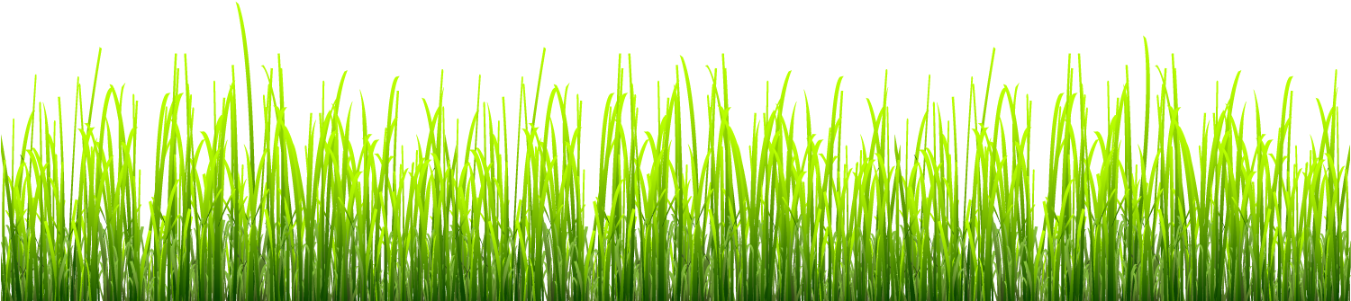 Wall Decal (1500x425), Png Download