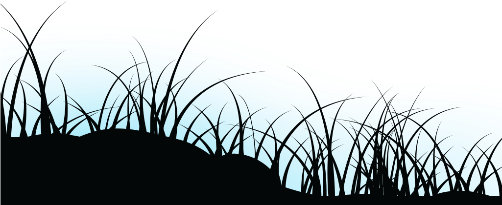 Tapping Wood By Asmr Tapping Sounds - Grass (1024x456), Png Download