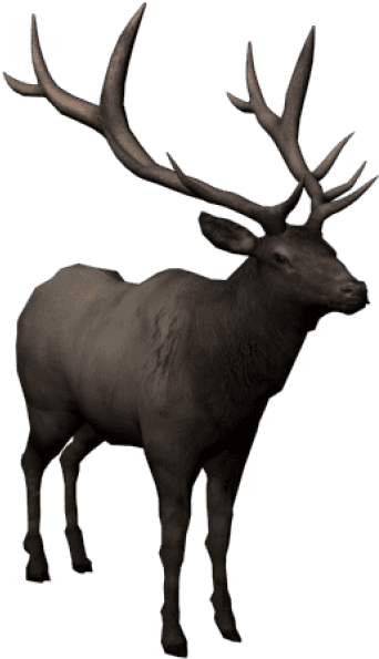 Free Png Moose Png Images Transparent - Barren Ground Caribou (850x638), Png Download