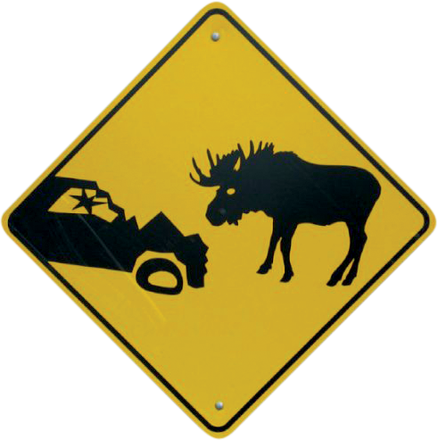 Sam Winchester Moose Meme (491x493), Png Download