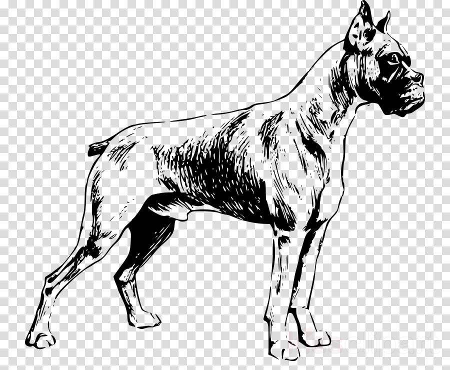 Boxer Dog Silhouette Transparent Background (900x740), Png Download