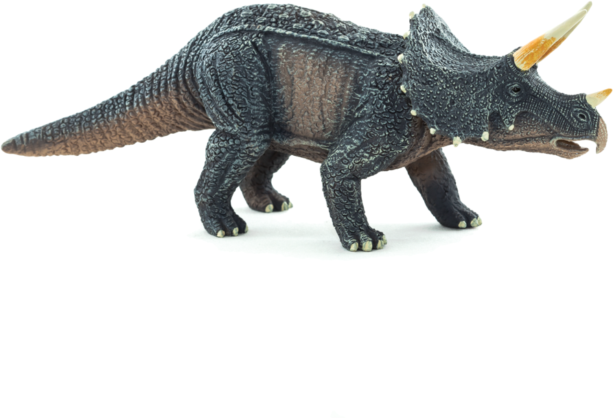 Triceratops - New 2015 - From Mojö - 387227 Triceratops (1000x1000), Png Download