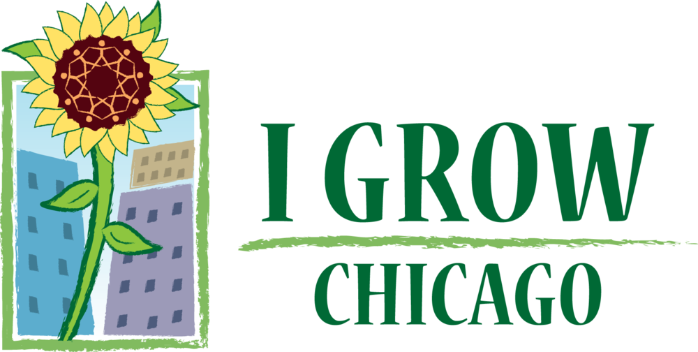 I Grow Chicago (1000x504), Png Download