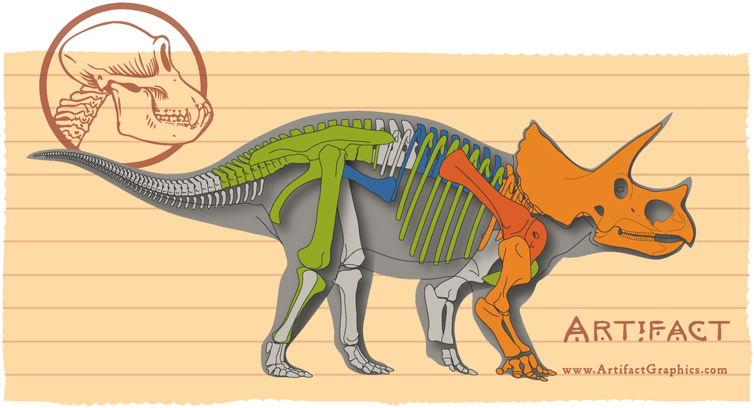 It Is Considered Complete In The Sense That None Of - Natural History Museum Of Los Angeles County (nhm) (1100x598), Png Download