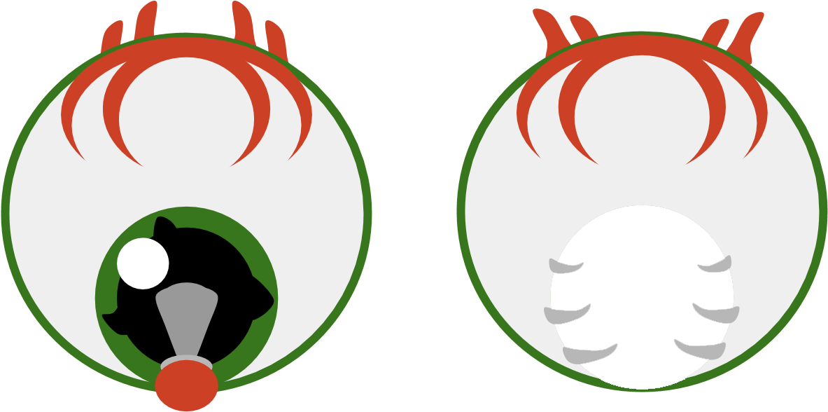 Night (1270x709), Png Download