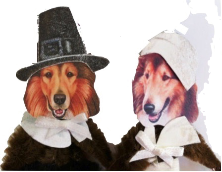 Happy Thanksgiving To Everyone - Sjt 5x10 Wood Sign Dog A House (448x348), Png Download