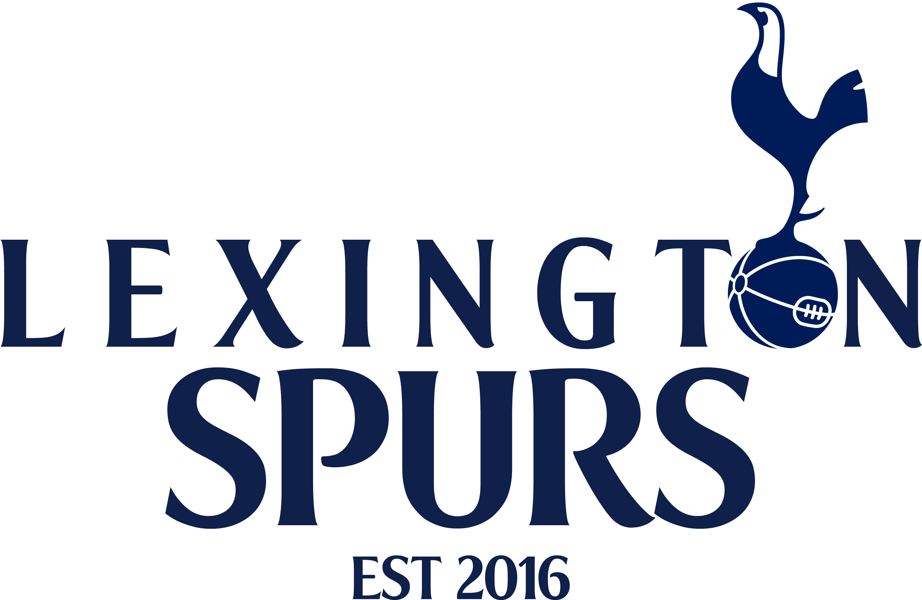 Tottenham Hotspur Fans (3300x2550), Png Download