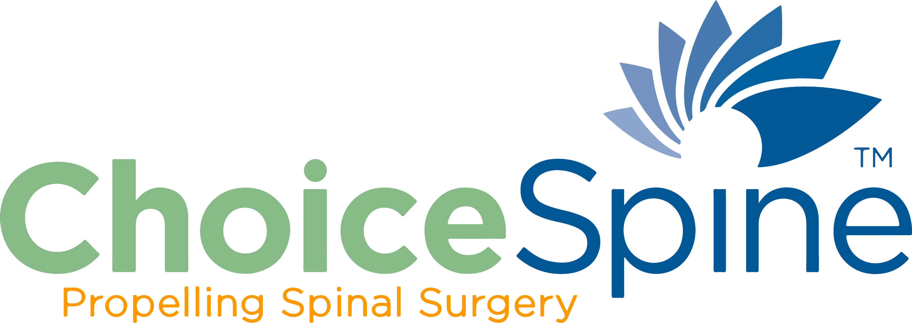 Choice Spine Logo (3164x1122), Png Download