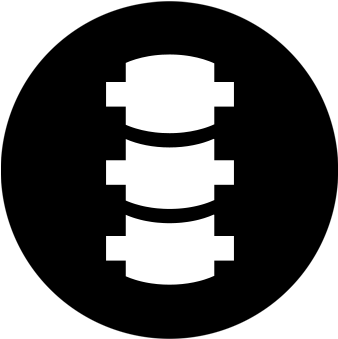 Spine - Spine Transparent Png Icon (1000x500), Png Download