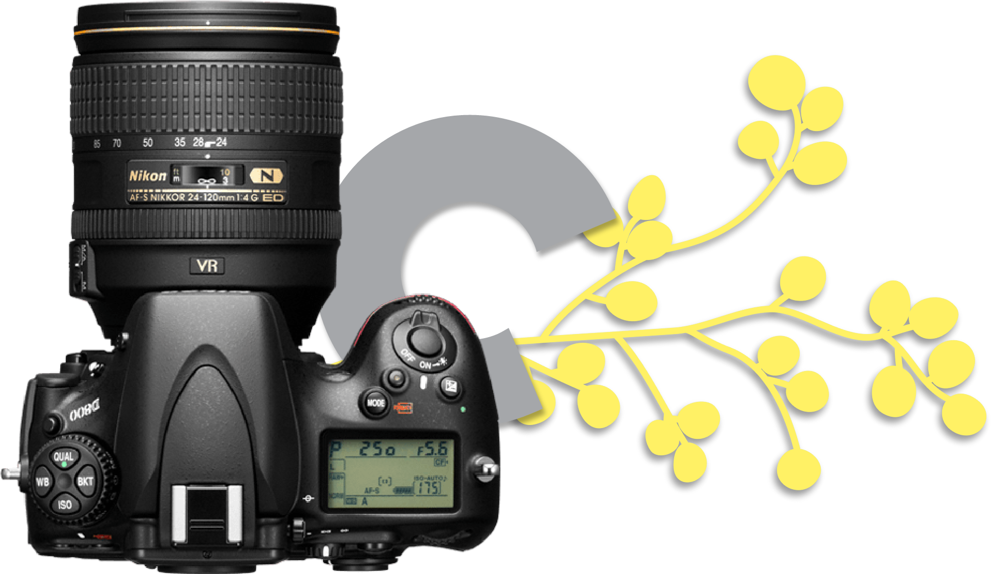 With Your Photography, Videography, Design And Marketing - Nikon D800 36.3 Mp Slr - Body Only (2741x2441), Png Download