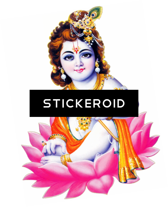 Lord Krishna - Krishna Collection (556x687), Png Download