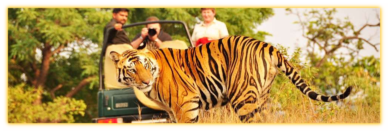 111 - Places To Visit Near Ranthambore (775x262), Png Download